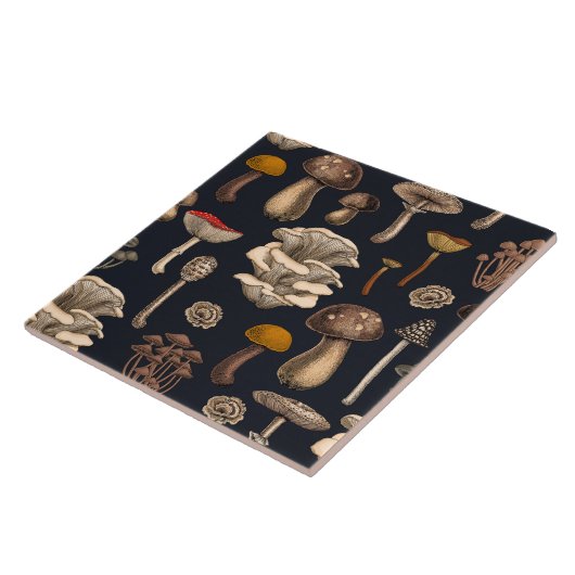 Wild Mushrooms  on graphite black タイル (側面)