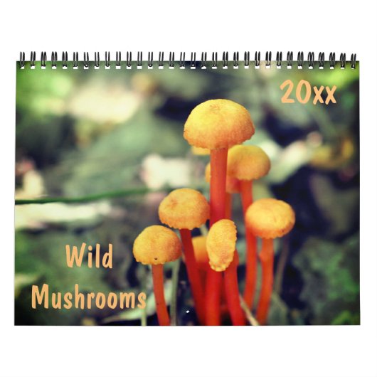 Wild Mushrooms Photography  カレンダー (カバー)