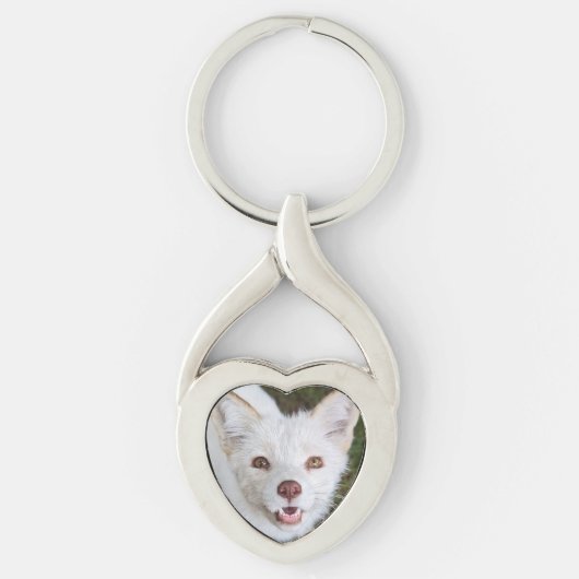 Wild Paws Coconut Metal Keychain キーホルダー (正面)