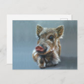 Wild piggy Postcard ポストカード (正面/裏面)