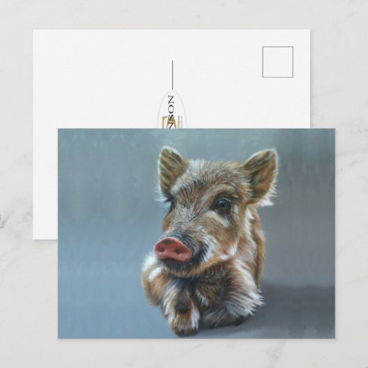 Wild piggy Postcard ポストカード (正面/裏面)