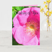 Wild Pink Rose Photo Trust in the Lord Bible Verse カード (黄色い花)