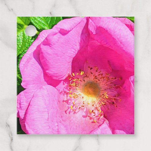 Wild Pink Rose Photo Trust in the Lord Bible Verse フェイバータグ (正面)