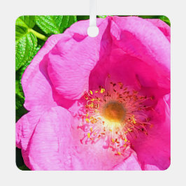 Wild Pink Rose Photo Trust in the Lord Bible Verse メタルオーナメント