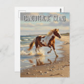 Wild Pony in Chincoteagueアイランドバージニア旅行 ポストカード (正面/裏面)