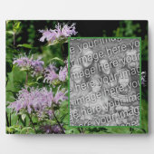 Wild Purple Bee Balm自分の写真を追加 フォトプラーク (正面)