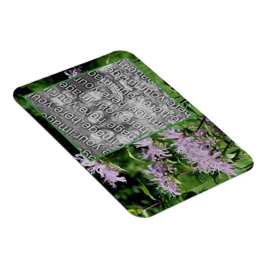 Wild Purple Bee Balm Frameあなたの写真を追加 マグネット (右側)