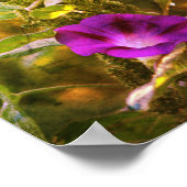 Wild Purple Morning Glory Flowers Abstract ポスター (角)