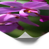 Wild Purple Orchids on Poster ポスター (角)
