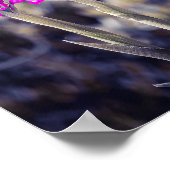 Wild Pyramidal Orchids in Malta ポスター (角)