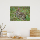 Wild Rabbit Eastern Cottontail II Poster ポスター (キッチン)
