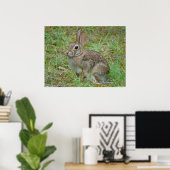 Wild Rabbit Eastern Cottontail II Poster ポスター (ホームオフィス)