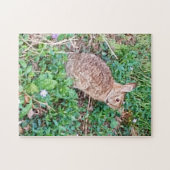 Wild Rabbit Puzzle  ジグソーパズル (横)