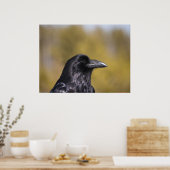 Wild Raven Portrait - Fine Art Print ポスター (キッチン)
