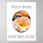 Wild Rose Bloom                                    ポスター (正面)