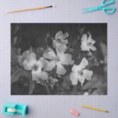 Wild roses  薄葉紙 (クラフト)