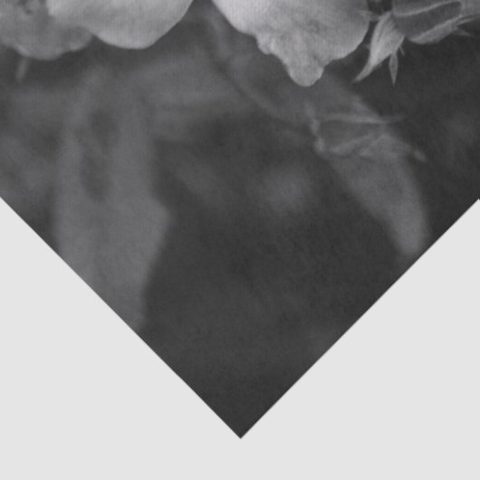 Wild roses  薄葉紙 (詳細)