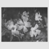 Wild roses  薄葉紙 (正面)