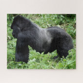Wild silverback gorilla from the side ジグソーパズル (横)