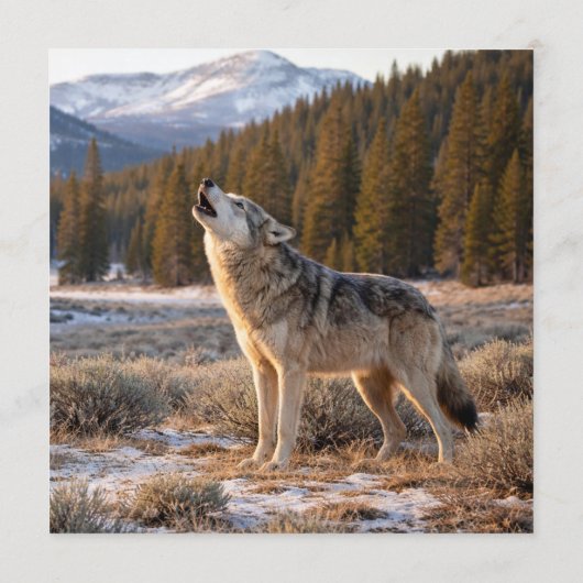 Wild Solitude Color Palette Card 招待状 (裏面)