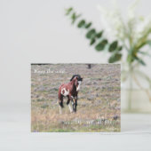 Wild Stallion、事前アドレス：インテリアの秒 ポストカード (スタンド正面)