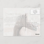 Wild Stallion、事前アドレス：インテリアの秒 ポストカード (裏面)