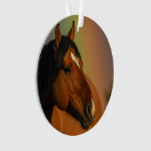 Wild Stallion, Golden Light and Rainbow オーナメント (正面)