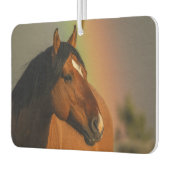 Wild Stallion, Golden Light and Rainbow カーエアーフレッシュナー (左)