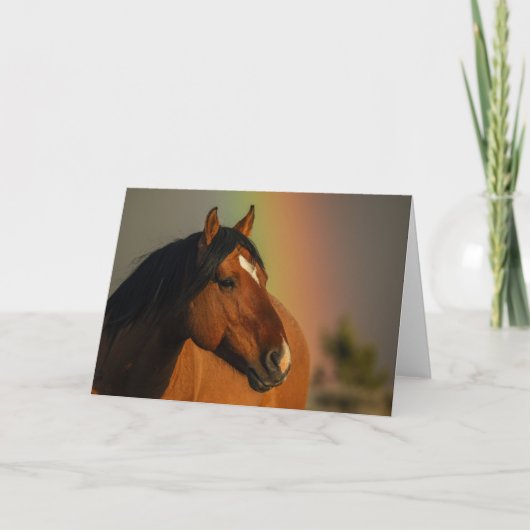 Wild Stallion, Golden Light and Rainbow カード (正面)