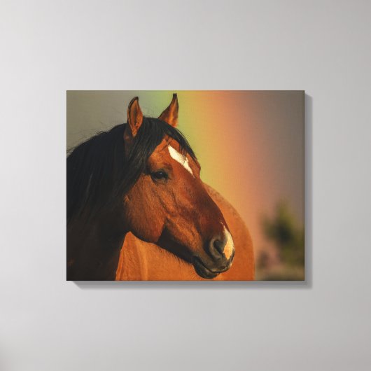 Wild Stallion, Golden Light and Rainbow キャンバスプリント (正面)