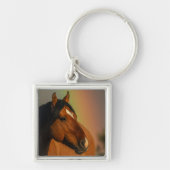 Wild Stallion, Golden Light and Rainbow キーホルダー (正面)