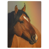 Wild Stallion, Golden Light and Rainbow クリップボード (裏面)