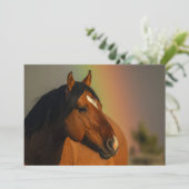 Wild Stallion, Golden Light and Rainbow サンキューカード (スタンド正面)