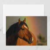 Wild Stallion, Golden Light and Rainbow サンキューカード (正面/裏面)