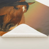 Wild Stallion, Golden Light and Rainbow シェルパブランケット (3/4)