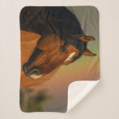 Wild Stallion, Golden Light and Rainbow シェルパブランケット (正面)