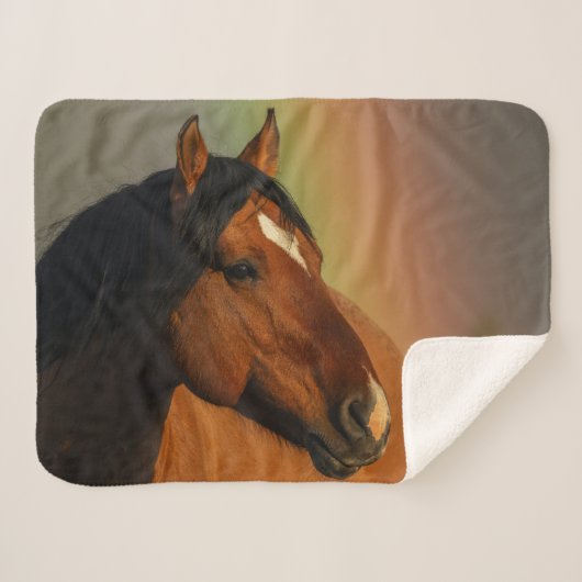 Wild Stallion, Golden Light and Rainbow シェルパブランケット (正面(横))