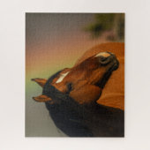 Wild Stallion, Golden Light and Rainbow ジグソーパズル (縦)