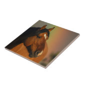 Wild Stallion, Golden Light and Rainbow タイル (側面)