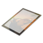 Wild Stallion, Golden Light and Rainbow ノートパッド (アングル)