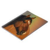 Wild Stallion, Golden Light and Rainbow ノートブック (左側)