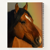 Wild Stallion, Golden Light and Rainbow ノートブック (裏面)