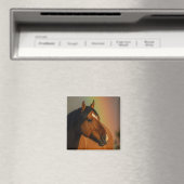 Wild Stallion, Golden Light and Rainbow マグネット (インサイチュ (食洗機))