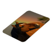 Wild Stallion, Golden Light and Rainbow マグネット (左側)