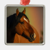 Wild Stallion, Golden Light and Rainbow メタルオーナメント (正面)