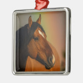 Wild Stallion, Golden Light and Rainbow メタルオーナメント (左)