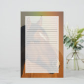 Wild Stallion, Golden Light and Rainbow 便箋 (スタンド正面)