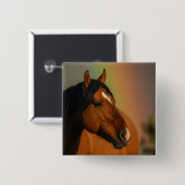 Wild Stallion, Golden Light and Rainbow 缶バッジ (正面&裏面)