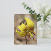 Wild Trout Lily Flower And Friend Personalized ポストカード (スタンド正面)