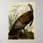 Wild Turkey_Audubon_Poster ポスター (正面)